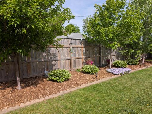 Yard Landscaped