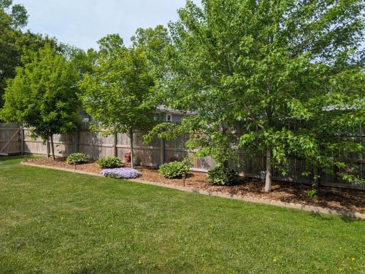 Yard Landscaped