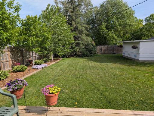 Yard Full View