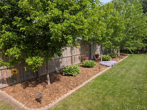 Yard landscaped