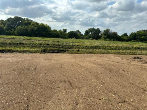 (Photo is of the actual backyard in progress.)