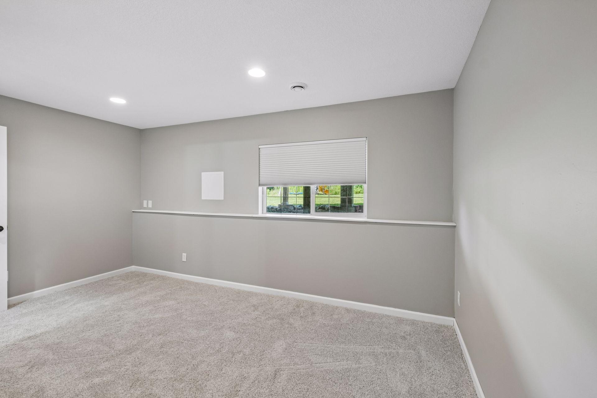Lower Level 5th Bedroom