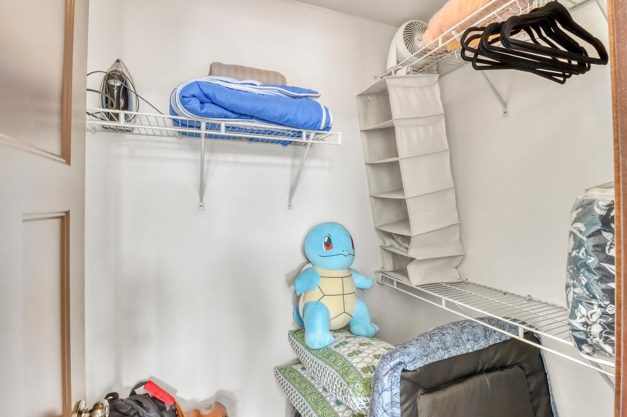 Upstairs Bedroom1_closet-3264.JPG