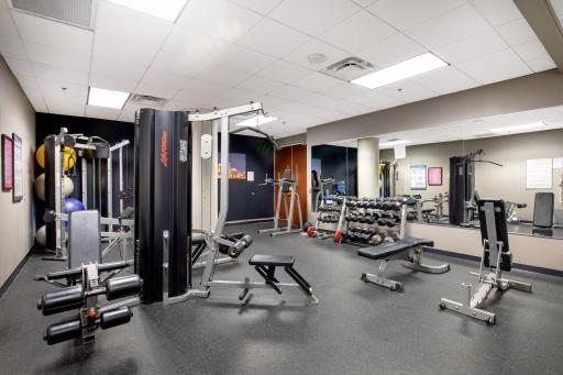 Modern Fitness Center & Equipment.