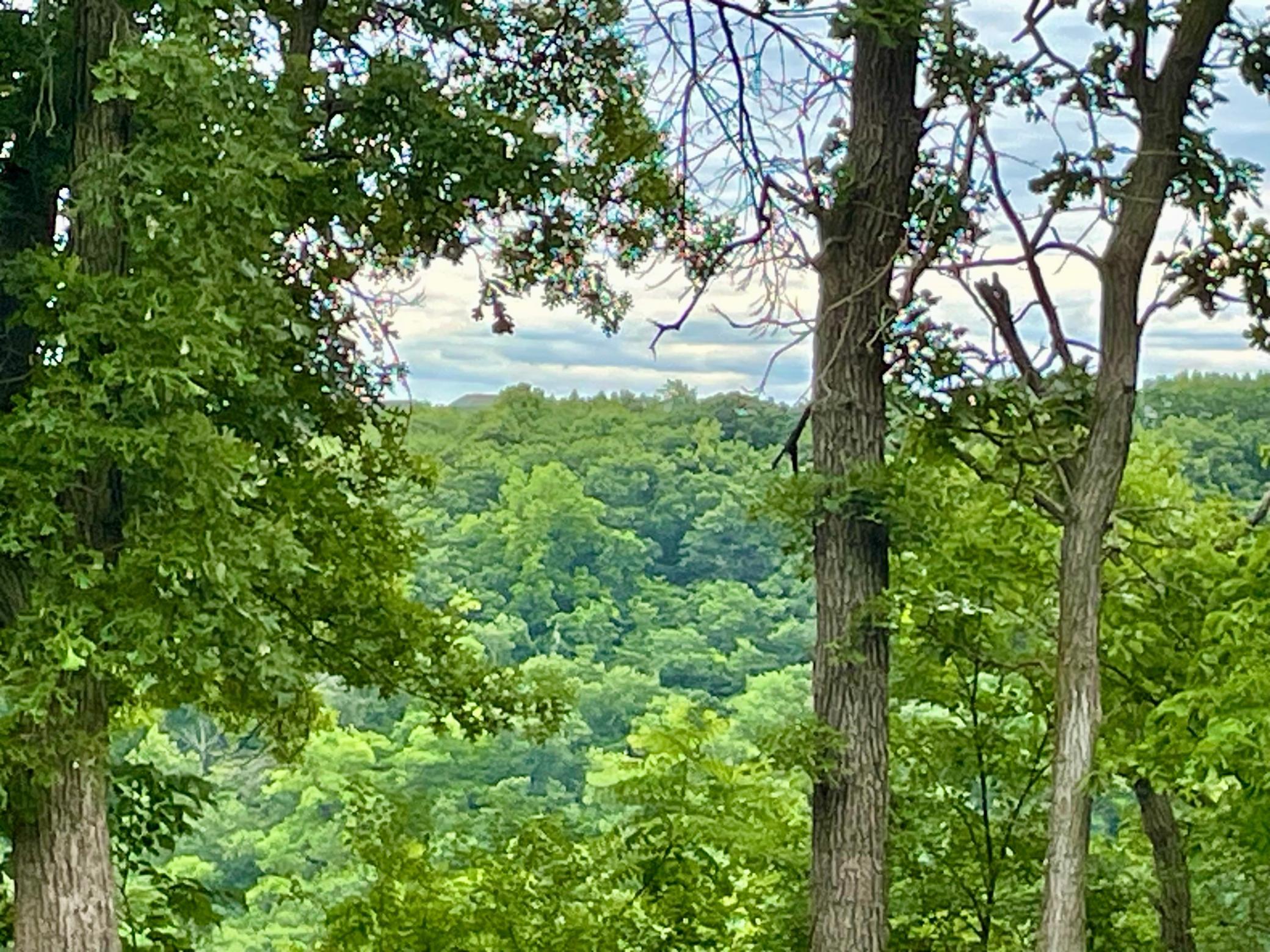 Lot Ends At Edge Of Bluff