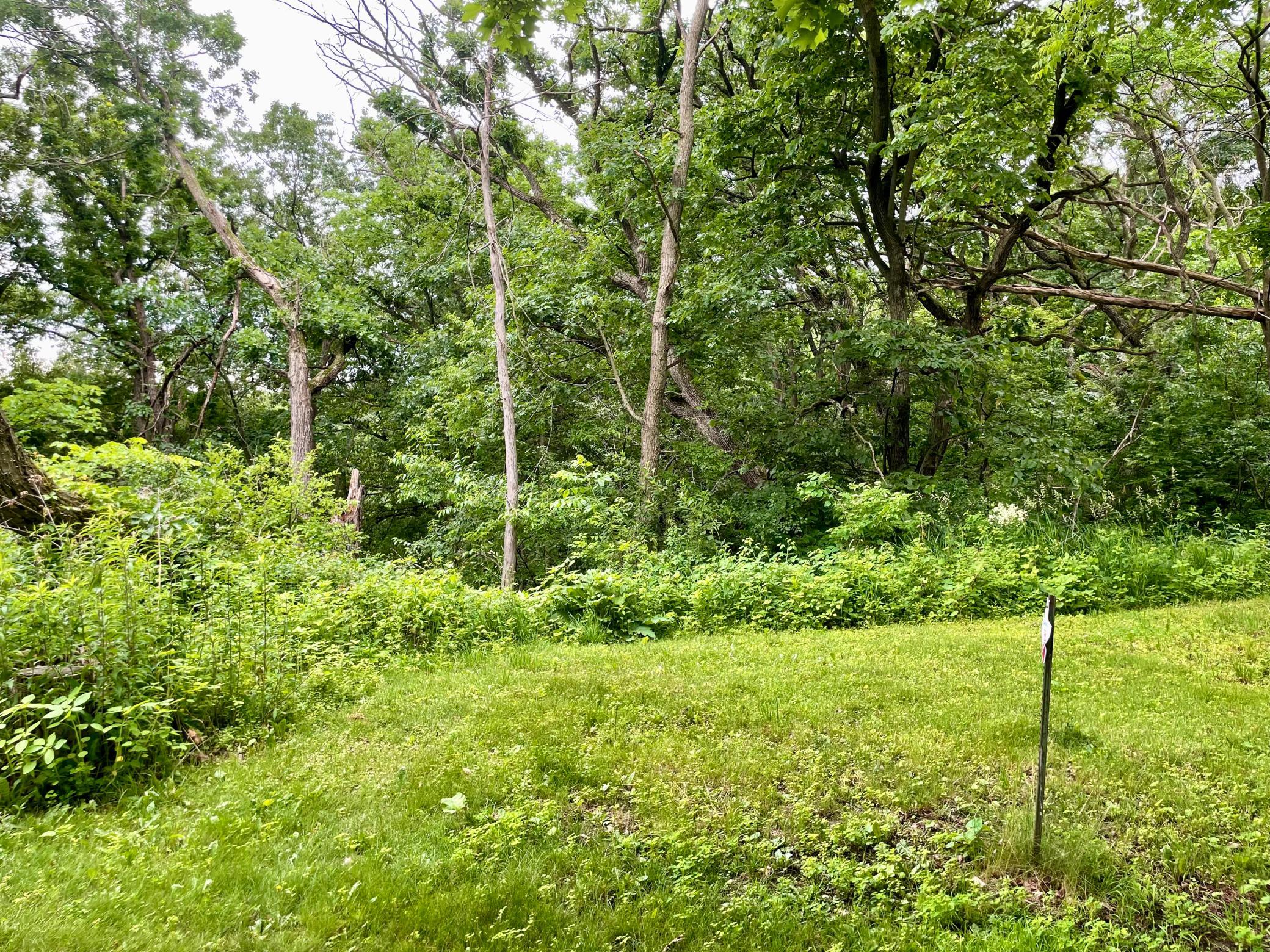 Wooded For Privacy