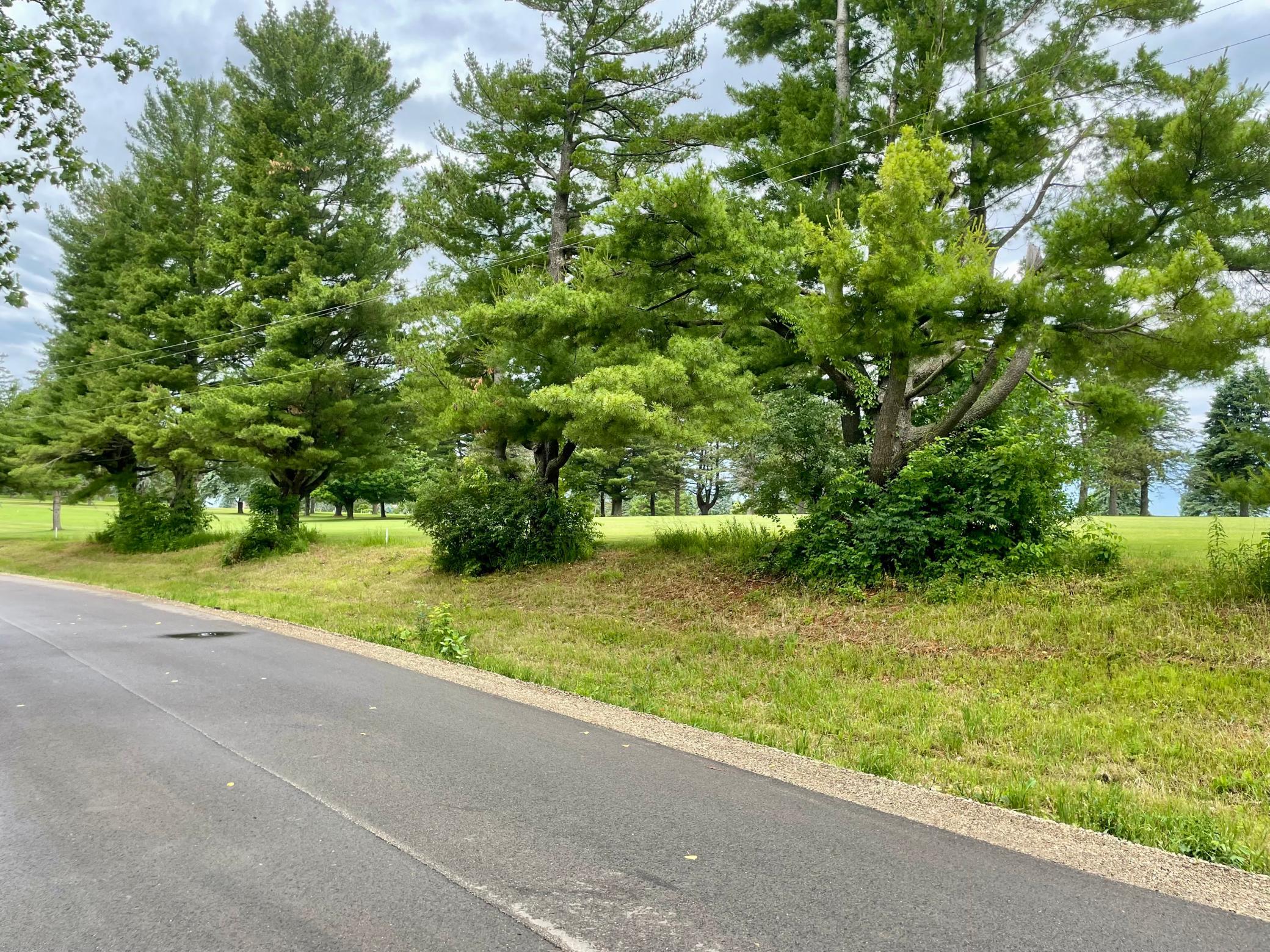 8th Hole Directly Across Street From Lot
