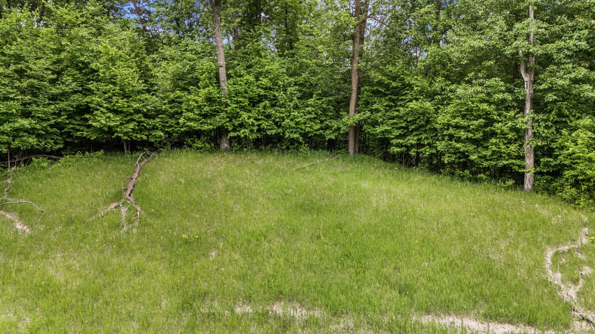 DJI_20260615135527_0767_D.JPG