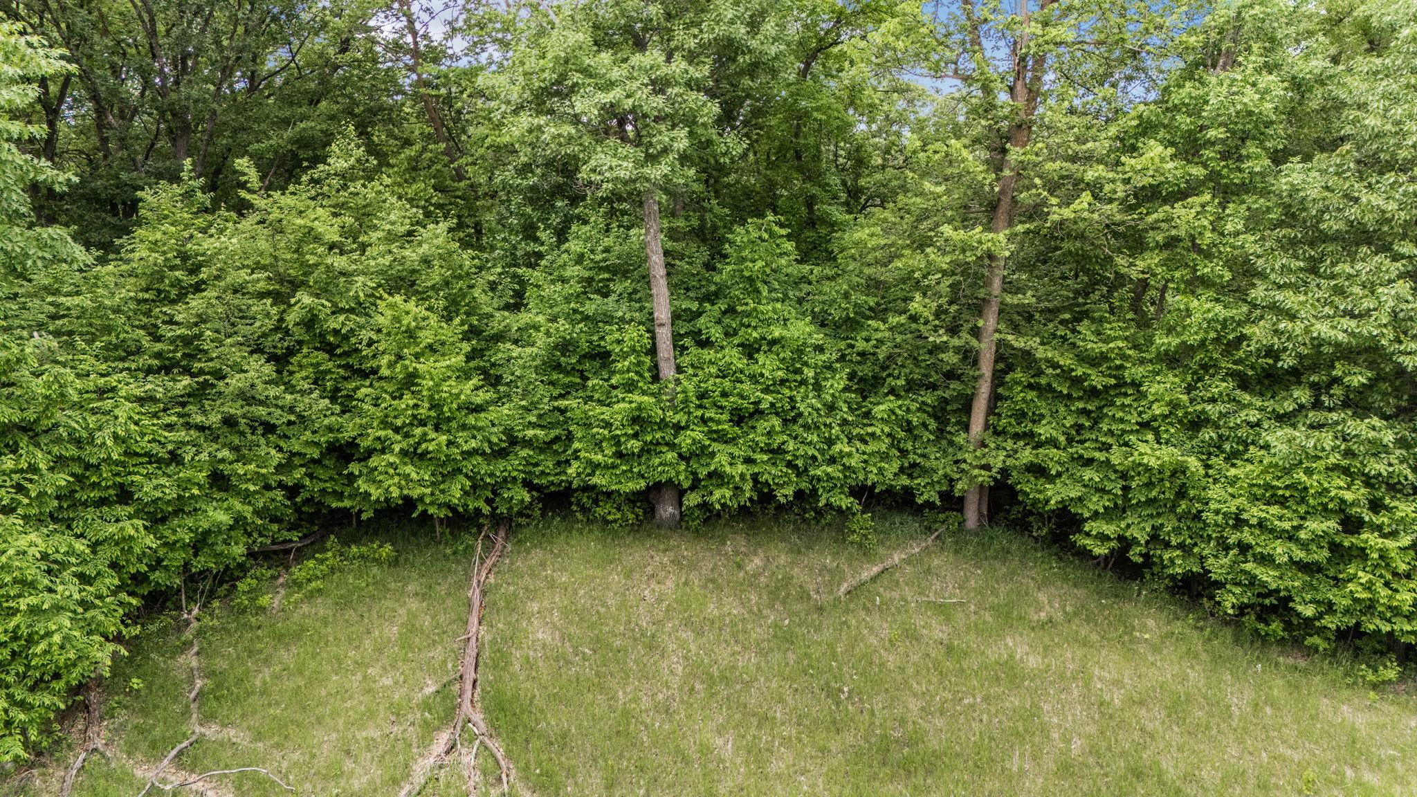 DJI_20260615135510_0766_D.JPG