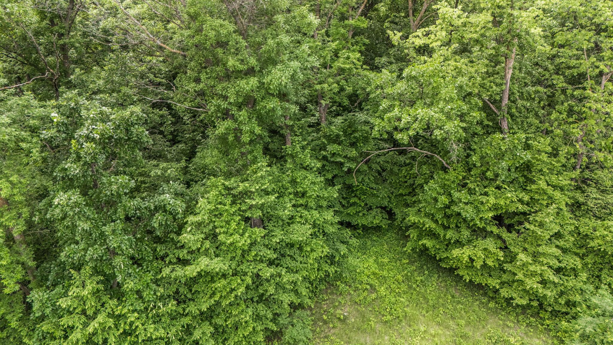 DJI_20260615135355_0765_D.JPG