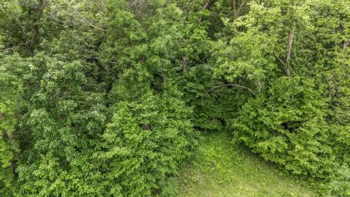 4742 Gold Finch Circle NE, Miltona, MN 56354