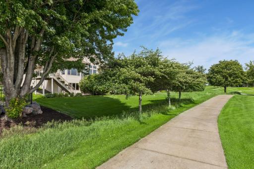 Tree cover protects the home from stay balls.jpg