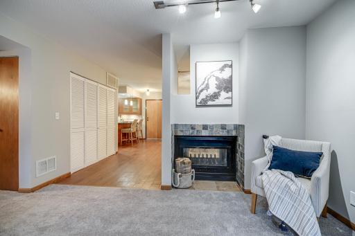 232 W Franklin Avenue, 303, Minneapolis, MN 55404