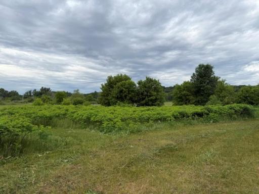 Tract B 113 Street, Ashby, MN 56309