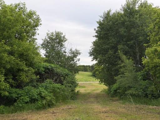 Tract B 113 Street, Ashby, MN 56309