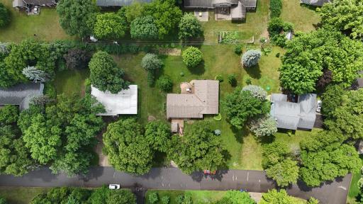 View of very large landscaped yard with large amount of room for a garden in the sun