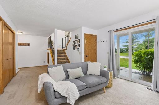Lower level family room with large closet
