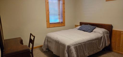 Lower level bedroom