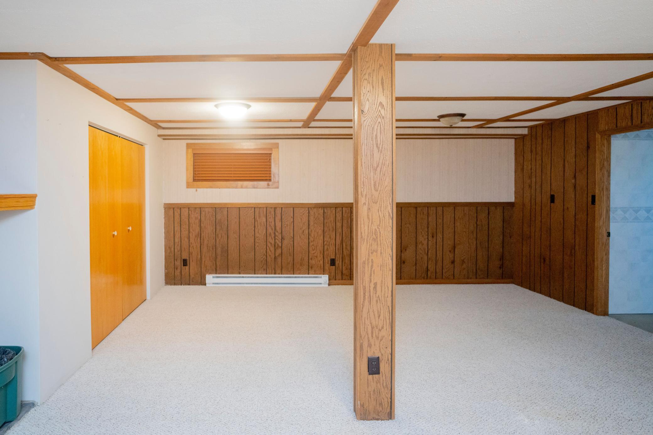 Basement Family Room