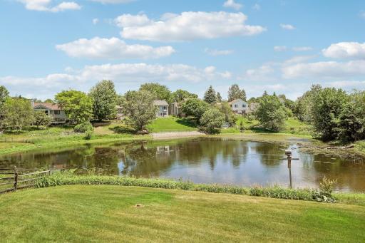 14246 Dearborn Path, Rosemount, MN 55068