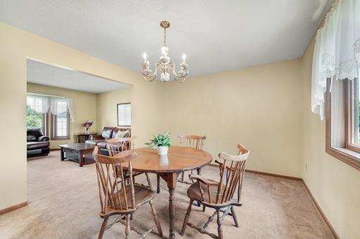 14246 Dearborn Path, Rosemount, MN 55068