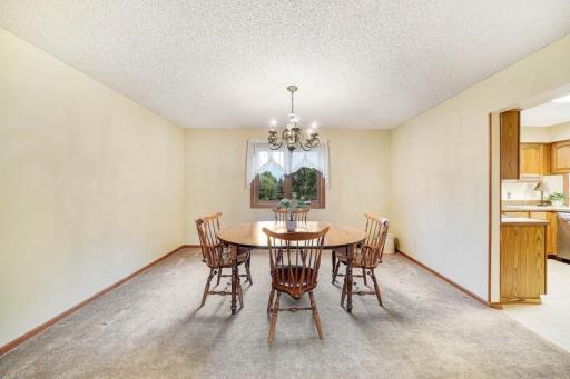 14246 Dearborn Path, Rosemount, MN 55068