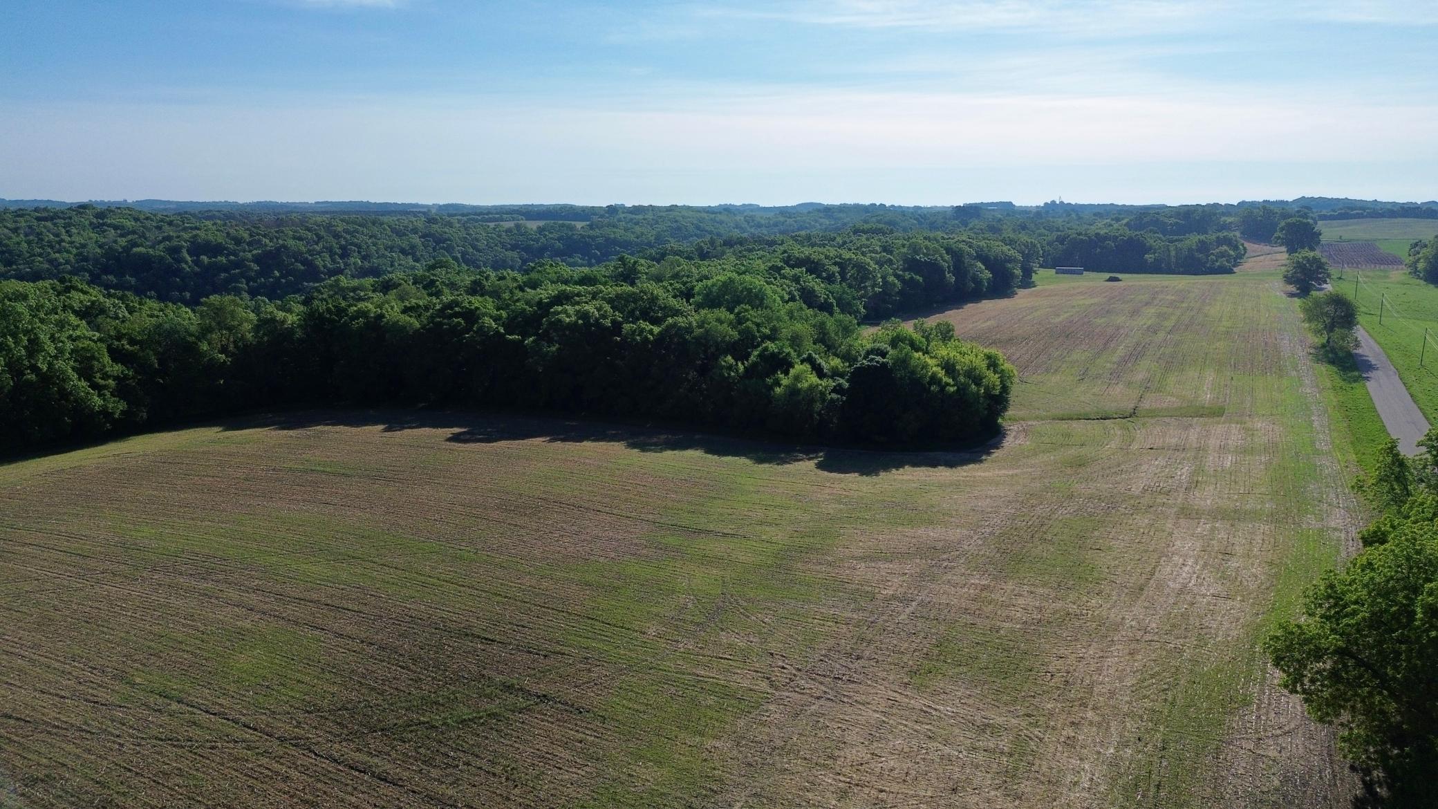 DJI_0453.JPG