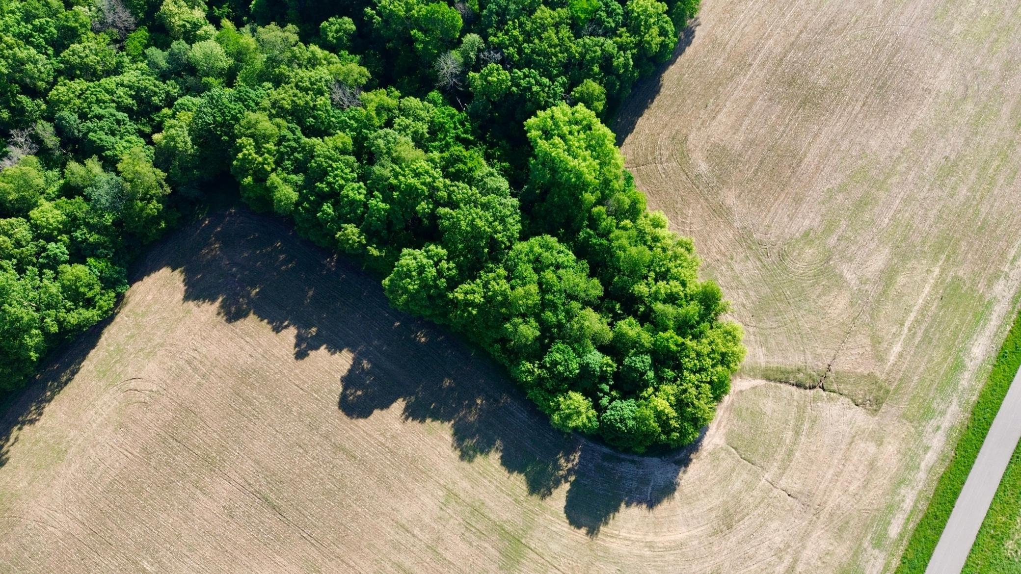DJI_0478.JPG