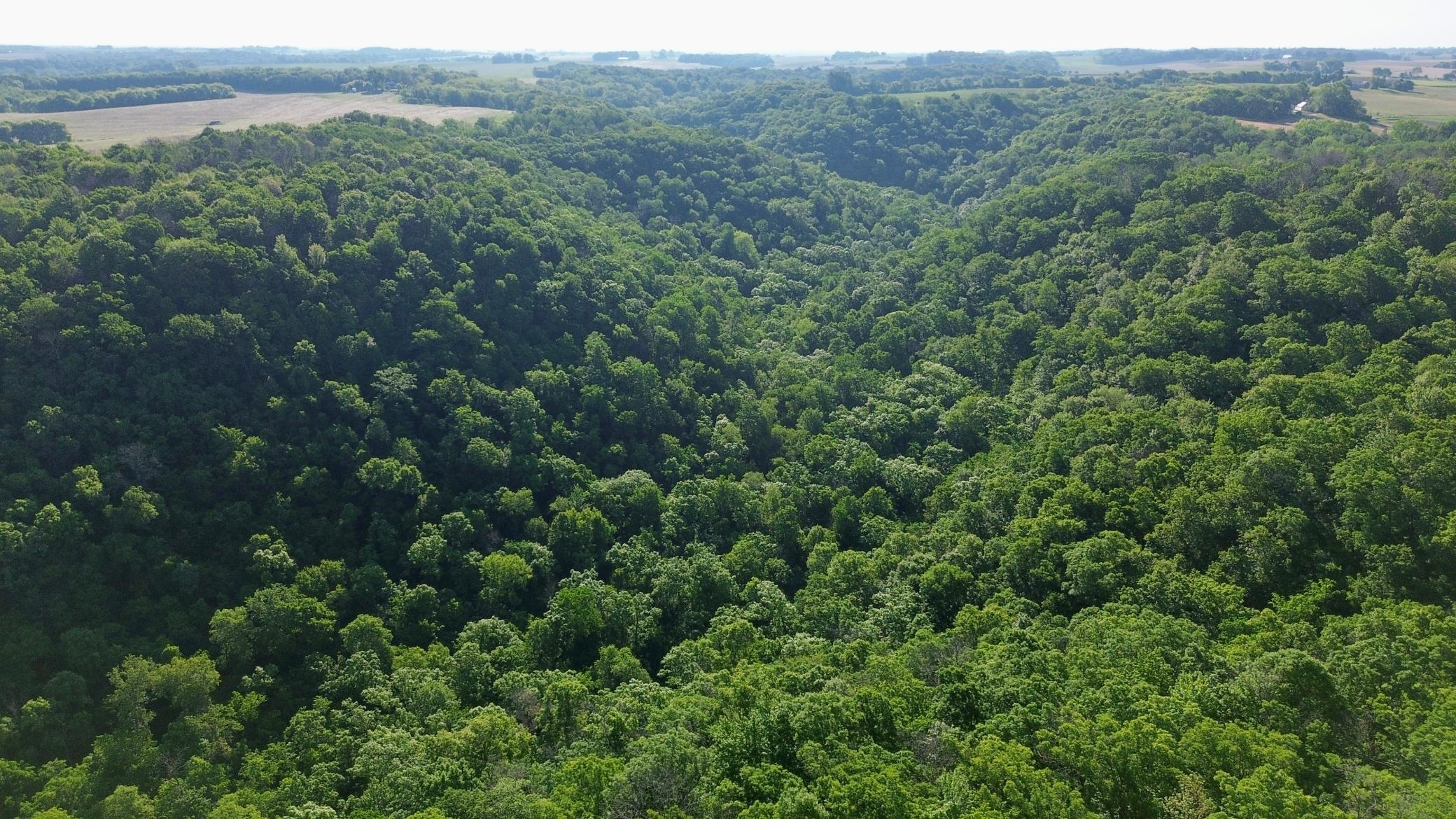 DJI_0466.JPG