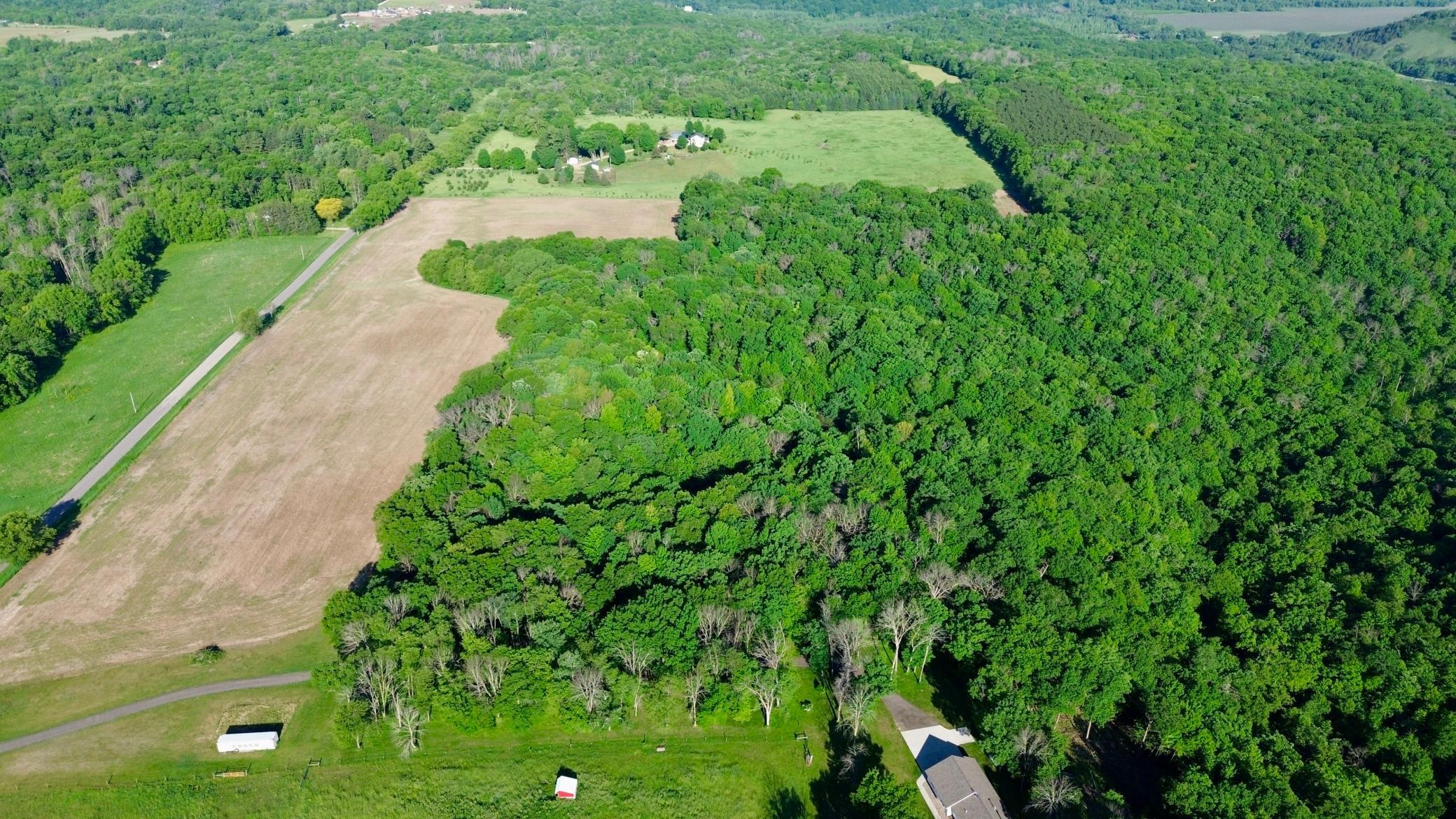 DJI_0438.JPG