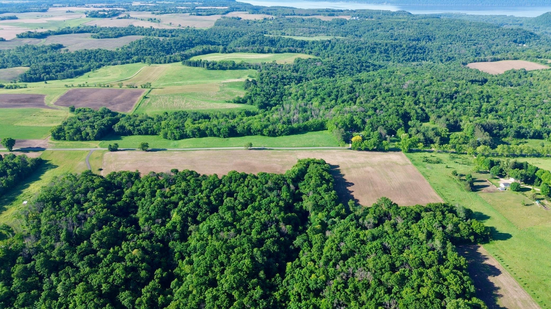 DJI_0451.JPG