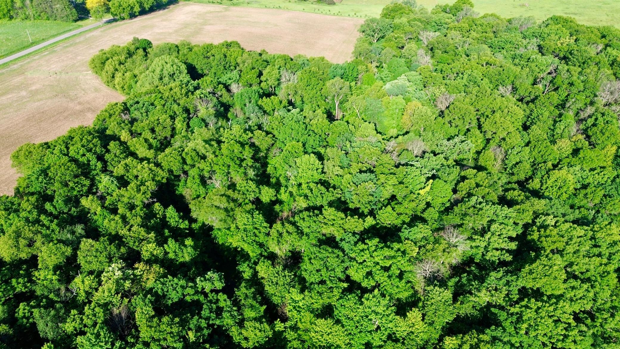 DJI_0473.JPG