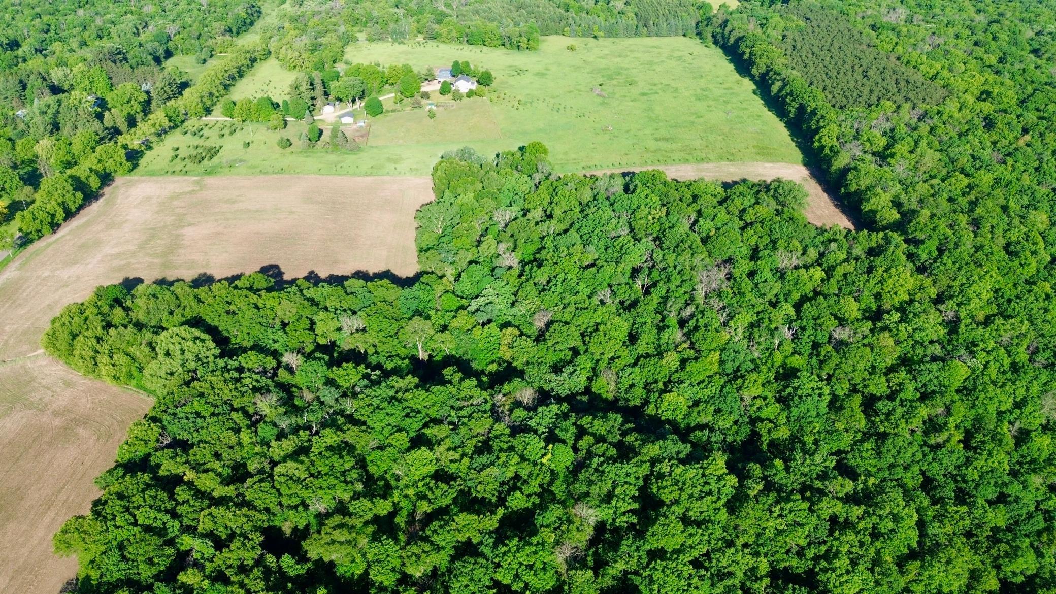 DJI_0441.JPG