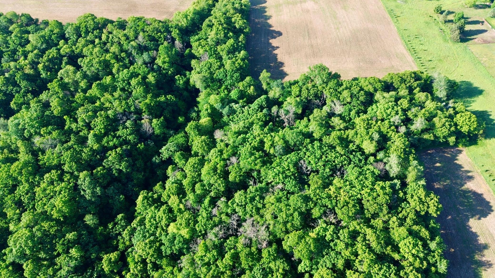 DJI_0446.JPG