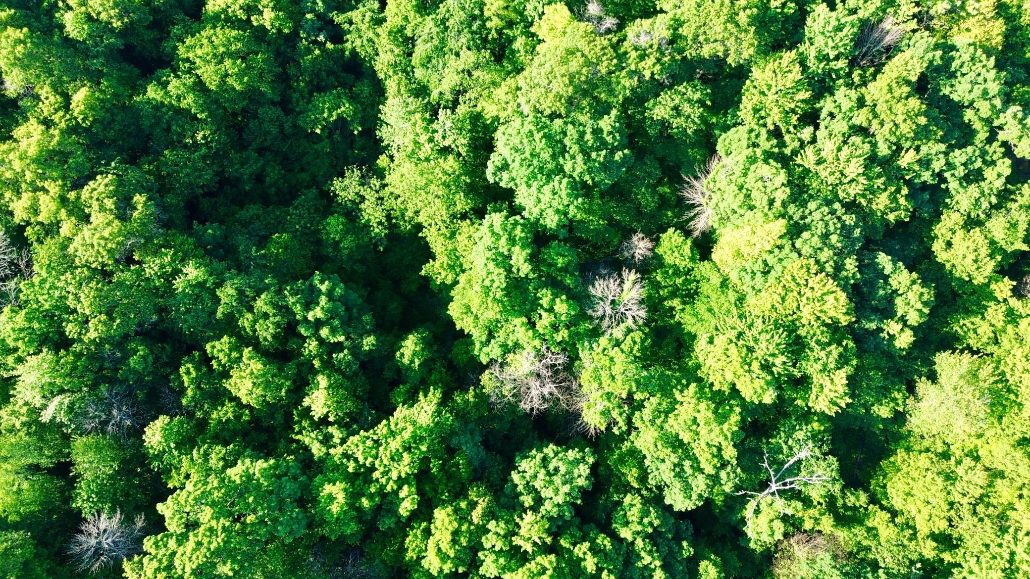 DJI_0472.JPG