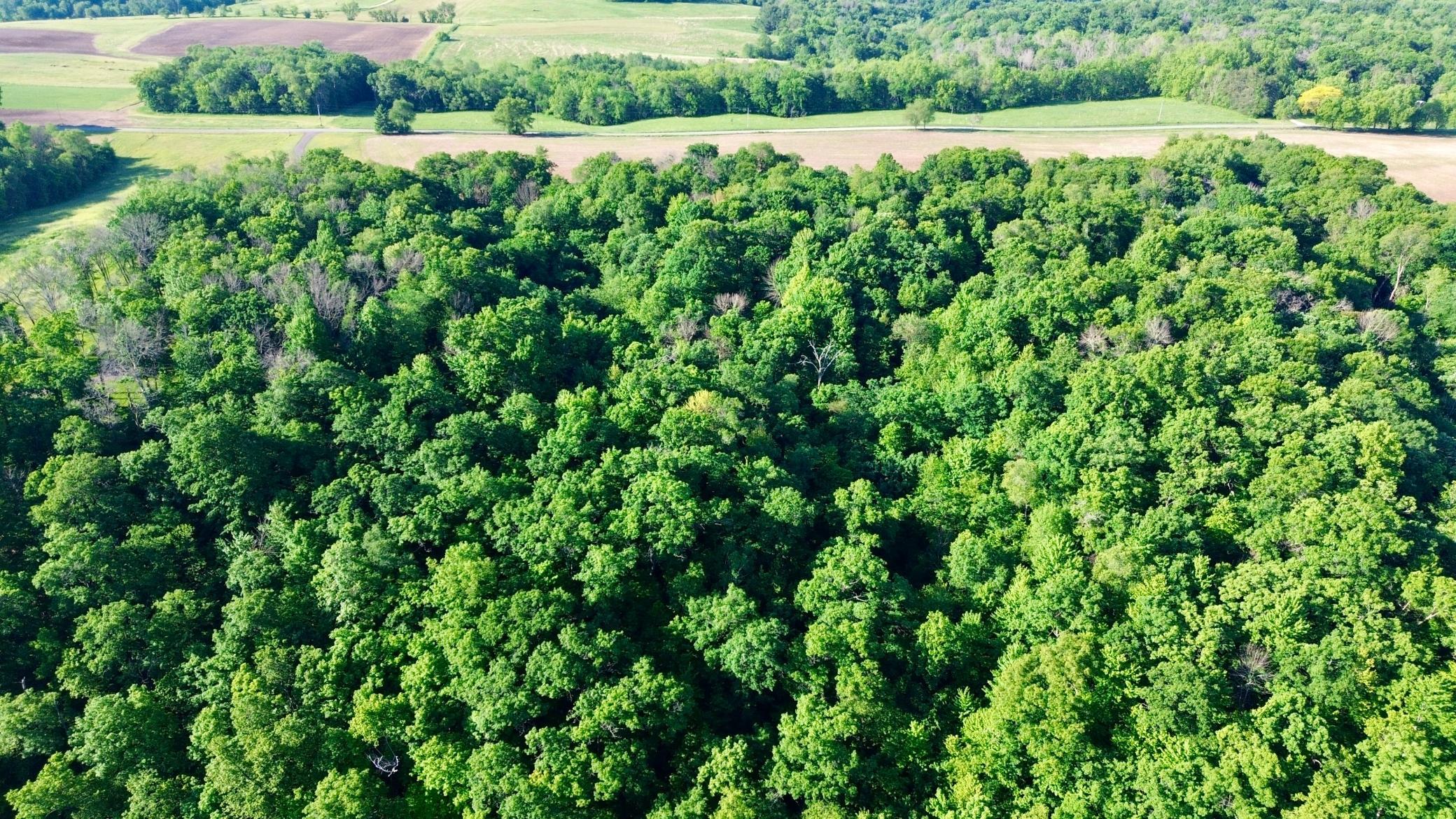 DJI_0470.JPG