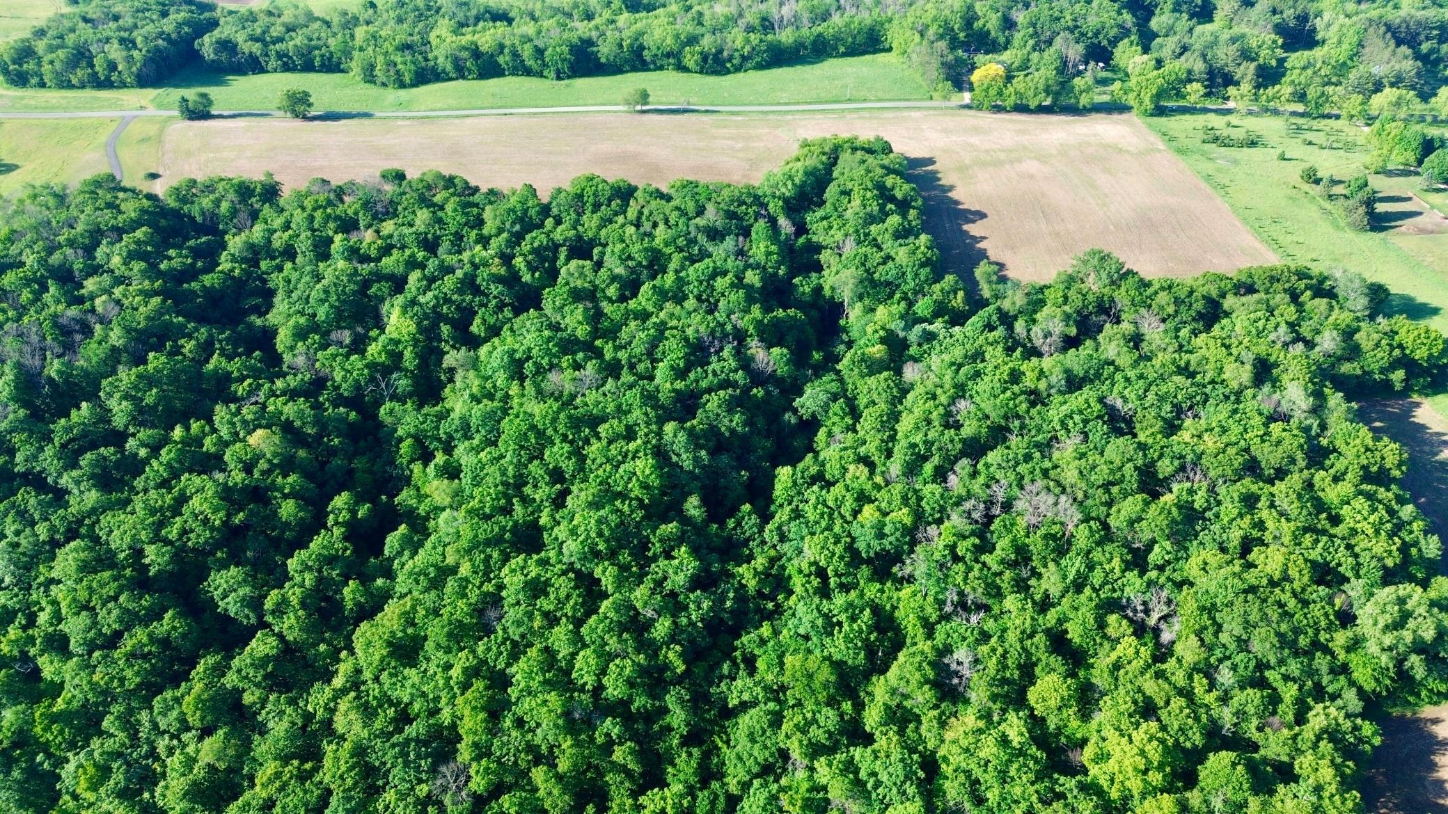 DJI_0448.JPG