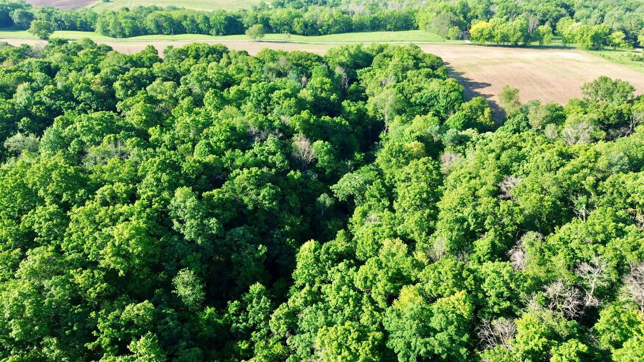 DJI_0468.JPG