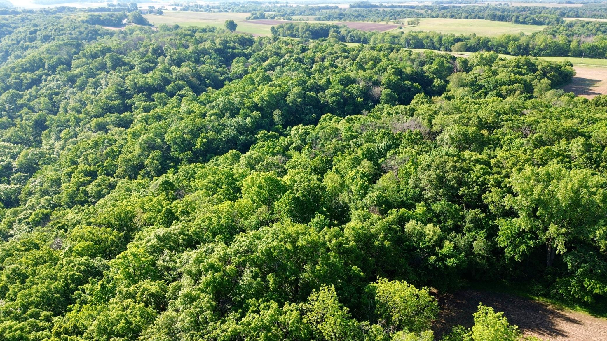 DJI_0465.JPG