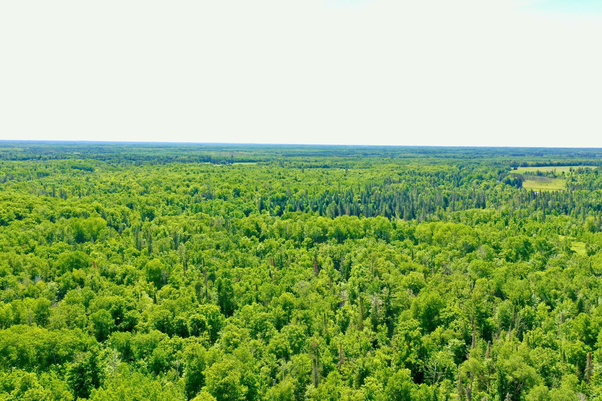 DJI_0222.JPG