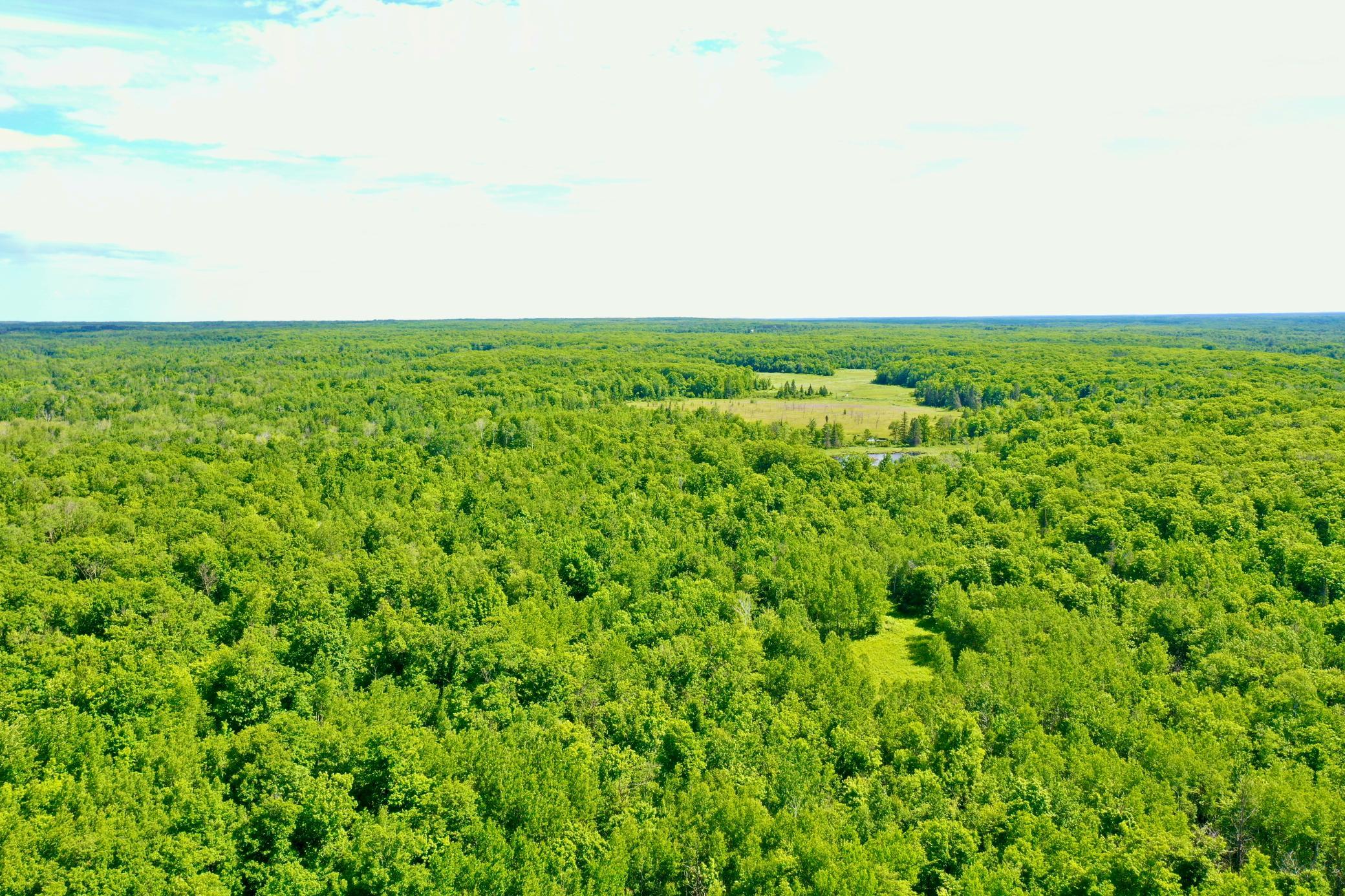 DJI_0221.JPG