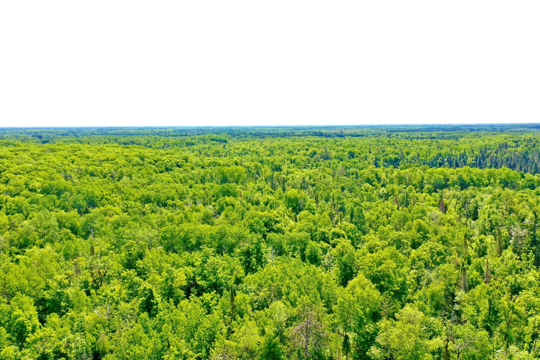 DJI_0220.JPG