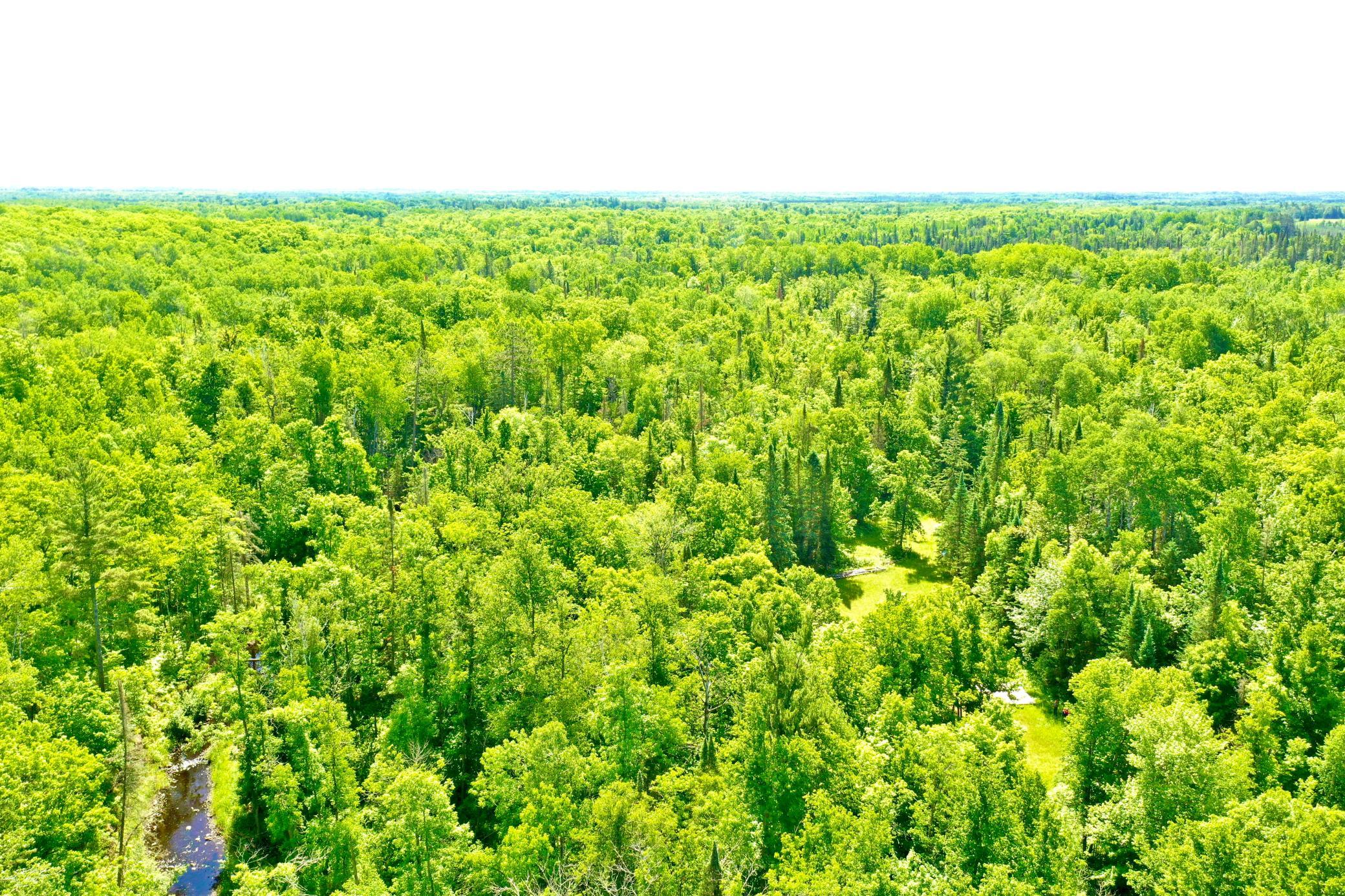 DJI_0223.JPG