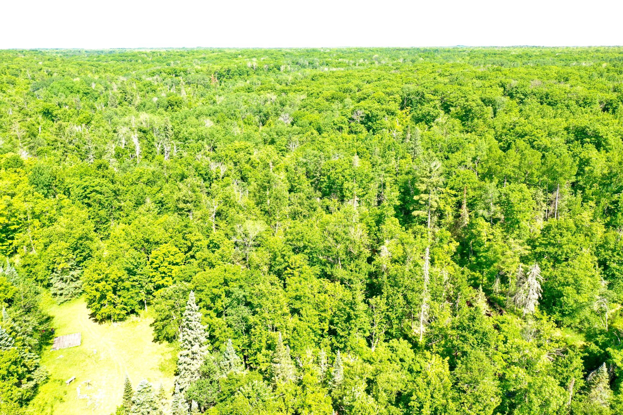 DJI_0218.JPG