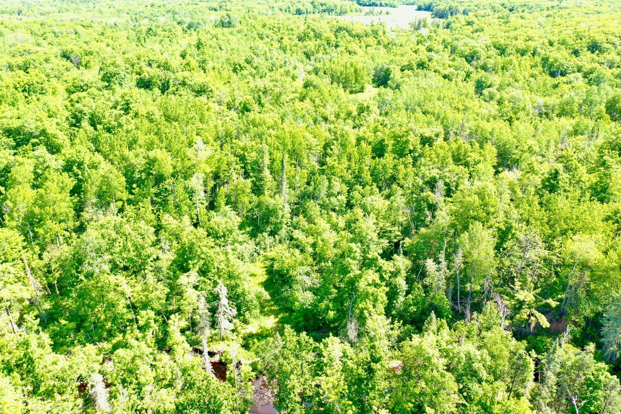 DJI_0219.JPG