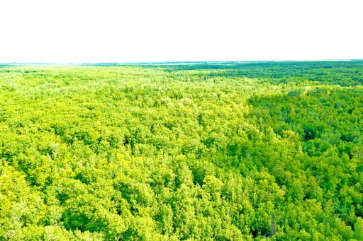 NA Burman Rd, Willow River, MN 55795