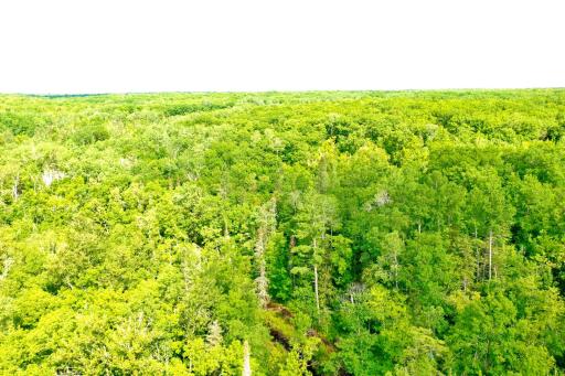 NA Burman Rd, Willow River, MN 55795