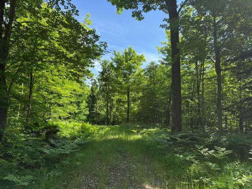 NA Burman Rd, Willow River, MN 55795
