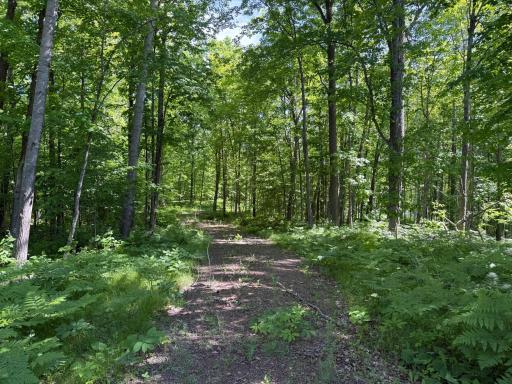 NA Burman Rd, Willow River, MN 55795