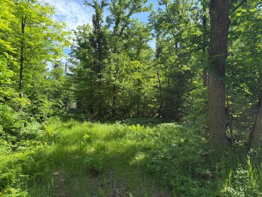 NA Burman Rd, Willow River, MN 55795